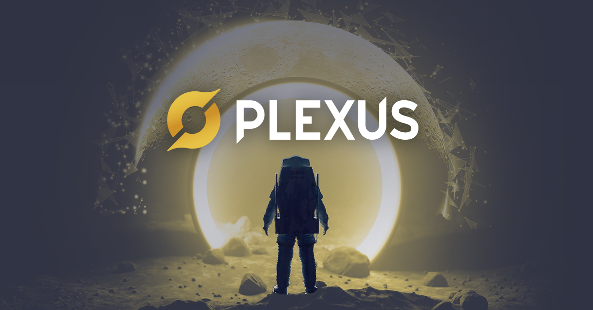 Technology Solutions - Plexus